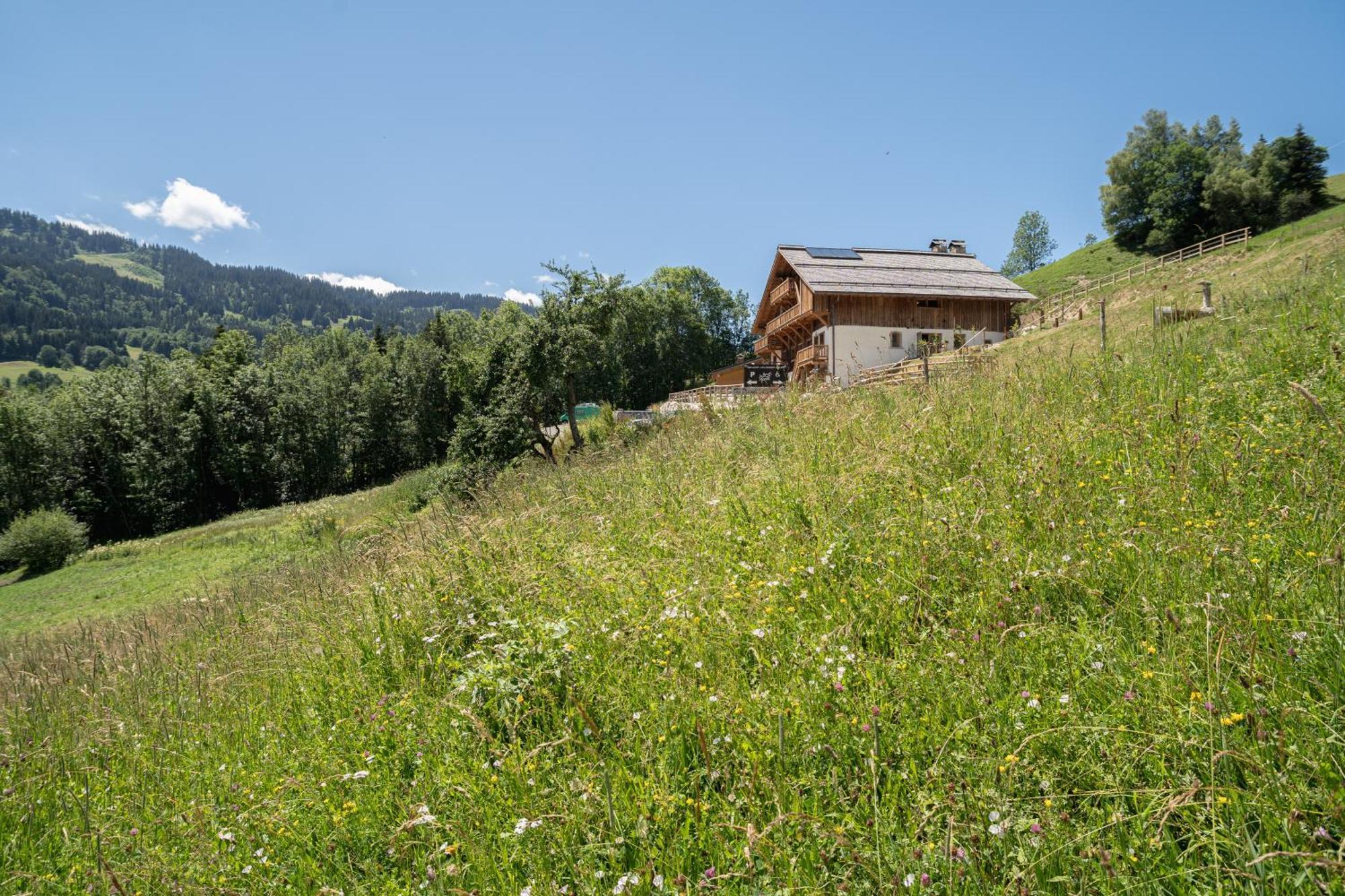 Le Toi Du Monde Bed & Breakfast Флюме Екстериор снимка