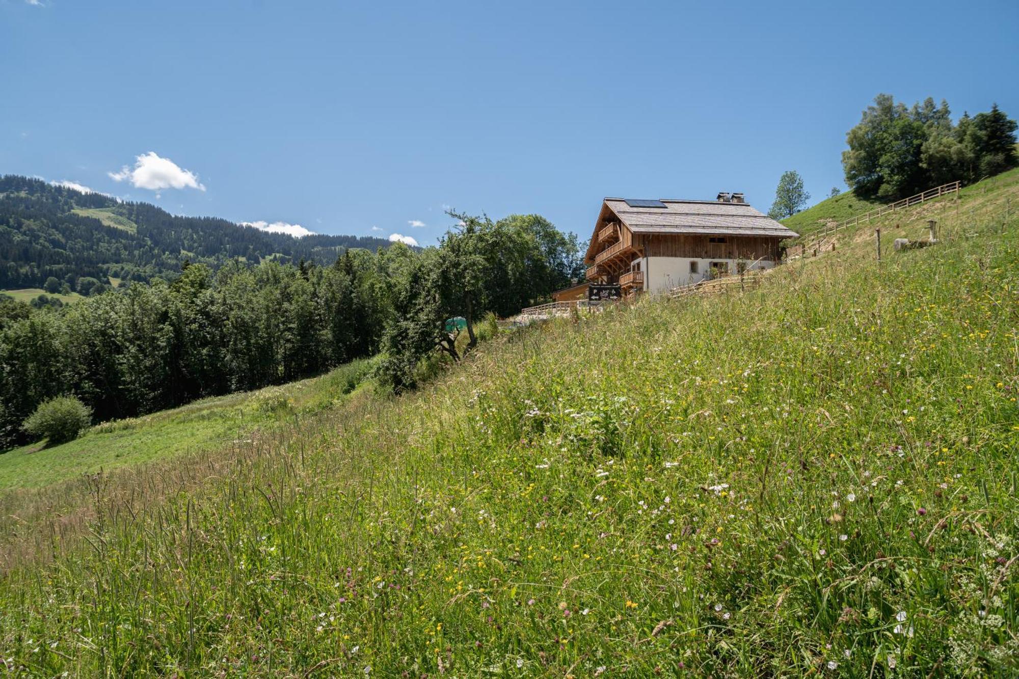 Le Toi Du Monde Bed & Breakfast Флюме Екстериор снимка
